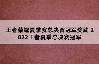 王者荣耀夏季赛总决赛冠军奖励 2022王者夏季总决赛冠军